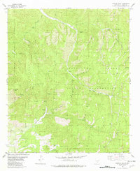 Download a high-resolution, GPS-compatible USGS topo map for Domingo Peak, NM (1982 edition)