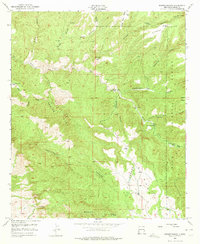 Download a high-resolution, GPS-compatible USGS topo map for Dorsey Ranch, NM (1975 edition)
