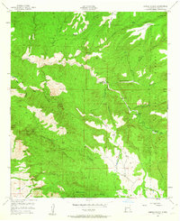 Download a high-resolution, GPS-compatible USGS topo map for Dorsey Ranch, NM (1963 edition)