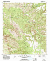 Download a high-resolution, GPS-compatible USGS topo map for Dorsey Ranch, NM (1992 edition)