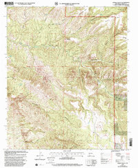 Download a high-resolution, GPS-compatible USGS topo map for Dorsey Ranch, NM (2002 edition)