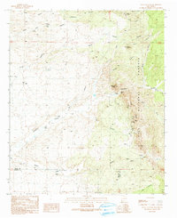 Download a high-resolution, GPS-compatible USGS topo map for Eagle Eye Peak, NM (1991 edition)