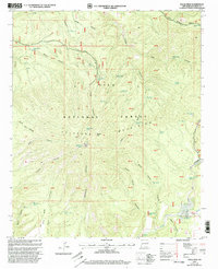 Download a high-resolution, GPS-compatible USGS topo map for Eagle Peak, NM (2002 edition)