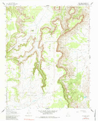 Download a high-resolution, GPS-compatible USGS topo map for East Mesa, NM (1984 edition)