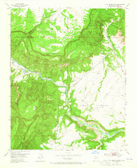 Download a high-resolution, GPS-compatible USGS topo map for Echo Ampitheater, NM (1965 edition)