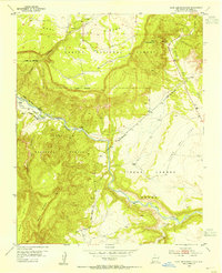 Download a high-resolution, GPS-compatible USGS topo map for Echo Ampitheater, NM (1955 edition)