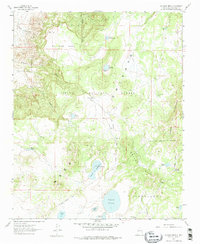 Download a high-resolution, GPS-compatible USGS topo map for El Dado Mesa, NM (1975 edition)