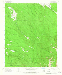 Download a high-resolution, GPS-compatible USGS topo map for El Valle, NM (1967 edition)