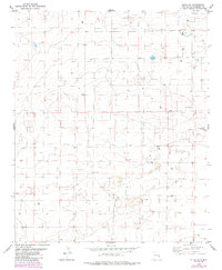 Download a high-resolution, GPS-compatible USGS topo map for Elida SE, NM (1985 edition)