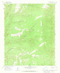 Download a high-resolution, GPS-compatible USGS topo map for Elk Mountain, NM (1971 edition)