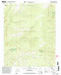 Download a high-resolution, GPS-compatible USGS topo map for Elk Mountain, NM (2003 edition)