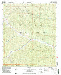 Download a high-resolution, GPS-compatible USGS topo map for Elk-Silver, NM (2006 edition)