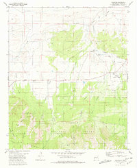 Download a high-resolution, GPS-compatible USGS topo map for Encinoso, NM (1981 edition)