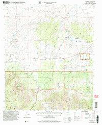 Download a high-resolution, GPS-compatible USGS topo map for Encinoso, NM (2006 edition)