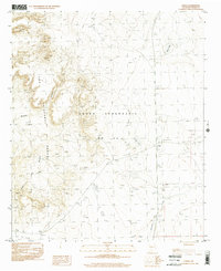 Download a high-resolution, GPS-compatible USGS topo map for Engle, NM (2002 edition)