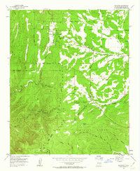 Download a high-resolution, GPS-compatible USGS topo map for Escabosa, NM (1963 edition)