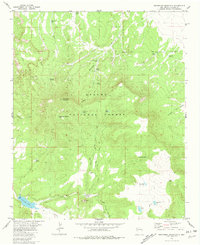 Download a high-resolution, GPS-compatible USGS topo map for Escondido Mountain, NM (1981 edition)