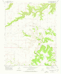 Download a high-resolution, GPS-compatible USGS topo map for Fiddler Springs, NM (1975 edition)