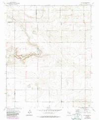 Download a high-resolution, GPS-compatible USGS topo map for Field SW, NM (1987 edition)