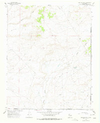 Download a high-resolution, GPS-compatible USGS topo map for Fire Rock Well, NM (1978 edition)