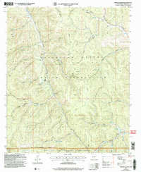 Download a high-resolution, GPS-compatible USGS topo map for Firman Canyon, NM (2006 edition)