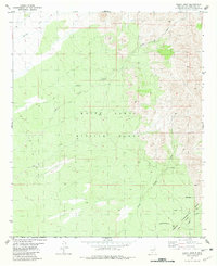 preview thumbnail of historical topo map of Doña Ana County, NM in 1981