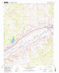 Download a high-resolution, GPS-compatible USGS topo map for Flora Vista, NM (1980 edition)