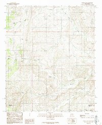 Download a high-resolution, GPS-compatible USGS topo map for Flying H NW, NM (1989 edition)
