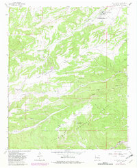 Download a high-resolution, GPS-compatible USGS topo map for Fort Stanton, NM (1982 edition)