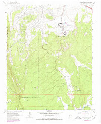 Download a high-resolution, GPS-compatible USGS topo map for Fort Wingate, NM (1980 edition)