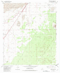 Download a high-resolution, GPS-compatible USGS topo map for Foster Lake, NM (1982 edition)