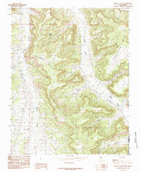 Download a high-resolution, GPS-compatible USGS topo map for Fresno Canyon, NM (1985 edition)