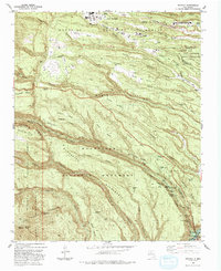 Download a high-resolution, GPS-compatible USGS topo map for Frijoles, NM (1993 edition)