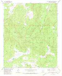 Download a high-resolution, GPS-compatible USGS topo map for Gallo Mountains East, NM (1981 edition)