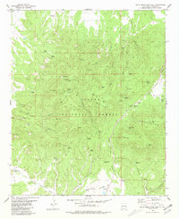 Download a high-resolution, GPS-compatible USGS topo map for Gallo Mountains West, NM (1981 edition)