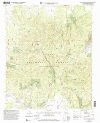 Download a high-resolution, GPS-compatible USGS topo map for Gallo Mountains West, NM (2002 edition)