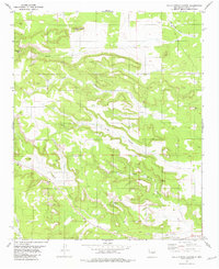 Download a high-resolution, GPS-compatible USGS topo map for Gallo Spring Canyon, NM (1981 edition)