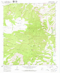 Download a high-resolution, GPS-compatible USGS topo map for Glenwood, NM (1979 edition)