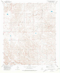Download a high-resolution, GPS-compatible USGS topo map for Granville Canyon, NM (1981 edition)