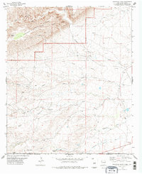 Download a high-resolution, GPS-compatible USGS topo map for Grapevine Draw, NM (1978 edition)