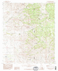 preview thumbnail of historical topo map of Hidalgo County, NM in 1985