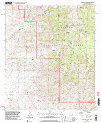 preview thumbnail of historical topo map of Hidalgo County, NM in 1997