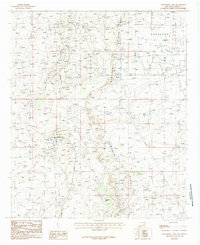 Download a high-resolution, GPS-compatible USGS topo map for Hackberry Lake, NM (1985 edition)