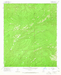 Download a high-resolution, GPS-compatible USGS topo map for Hay Mesa, NM (1965 edition)