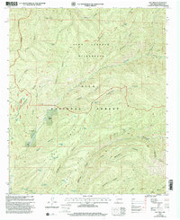 Download a high-resolution, GPS-compatible USGS topo map for Hay Mesa, NM (2002 edition)