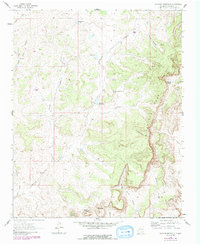 Download a high-resolution, GPS-compatible USGS topo map for Headcut Reservoir, NM (1989 edition)