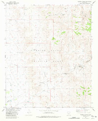 Download a high-resolution, GPS-compatible USGS topo map for Hembrillo Basin, NM (1981 edition)
