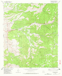 Download a high-resolution, GPS-compatible USGS topo map for High Rolls, NM (1982 edition)