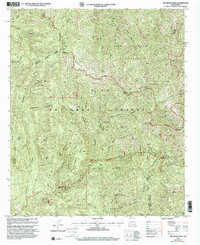Download a high-resolution, GPS-compatible USGS topo map for Hillsboro Peak, NM (2002 edition)