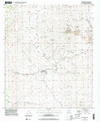 Download a high-resolution, GPS-compatible USGS topo map for Hillsboro, NM (2002 edition)